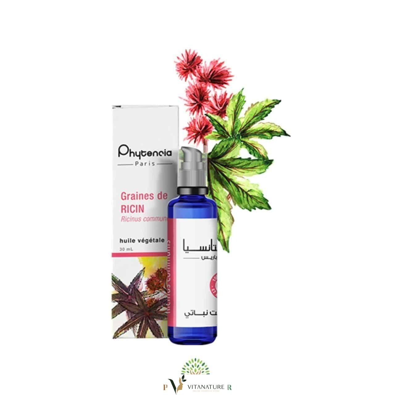 Graines De Ricin Ricinus Communis